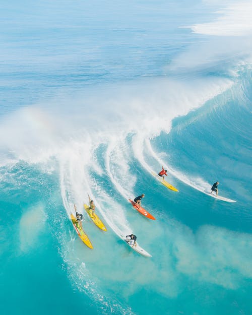 surfaři